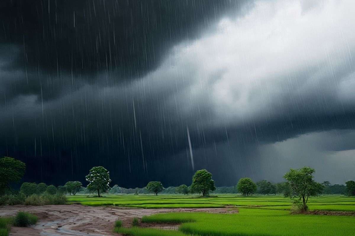 Bihar Ka Mausam: बिहार के 3 जिलों में अगले 24 घंटे के दौरान होगी भयंकर बारिश, IMD का 32 जिलों में बारिश का अलर्ट