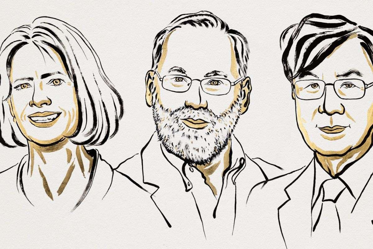 नोबेल मेडिसिन पुरस्कार घोषित, तीन वैज्ञानिकों को मिला सम्मान, किस खोज के लिए हुए सम्मानित?