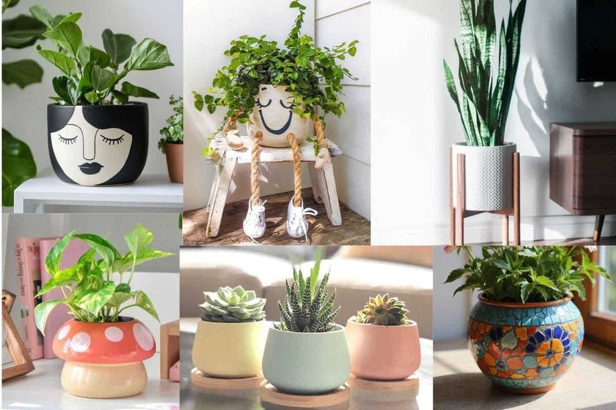 Pot Designs For Diwali: ट्रेंडी गमलों से करें घर की सजावट की शुरुआत, देखें बेस्ट डिजाइन आइडियाज