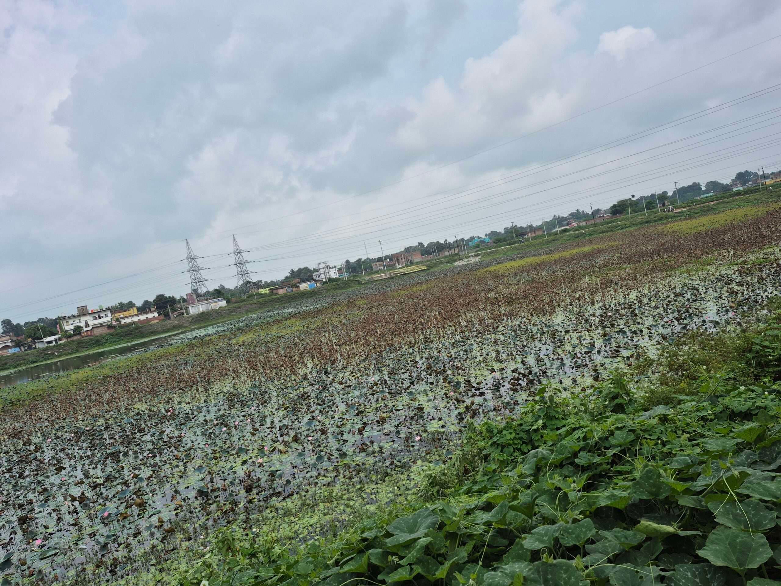 वृत्ताकार ग्लास ब्रिज मत्स्यगंधा झील को लगायेगा चार चांद