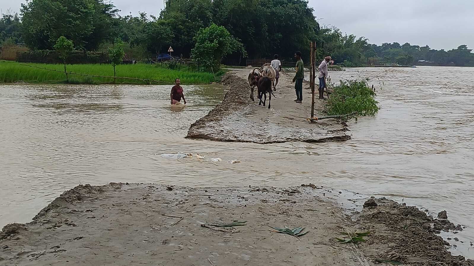 टेढ़ागाछ के मटियारी पंचायत में घुसा बाढ़ का पानी, लोग परेशान