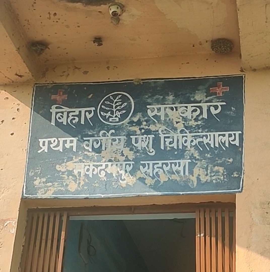 पशु चिकित्सा कार्यालय में बिजली गुल, विभाग को सूचना के बावजूद आपूर्ति ठप