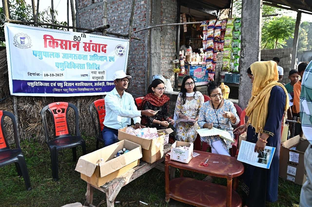 चिकित्सा शिविर में 215 पशुओं का हुआ उपचार