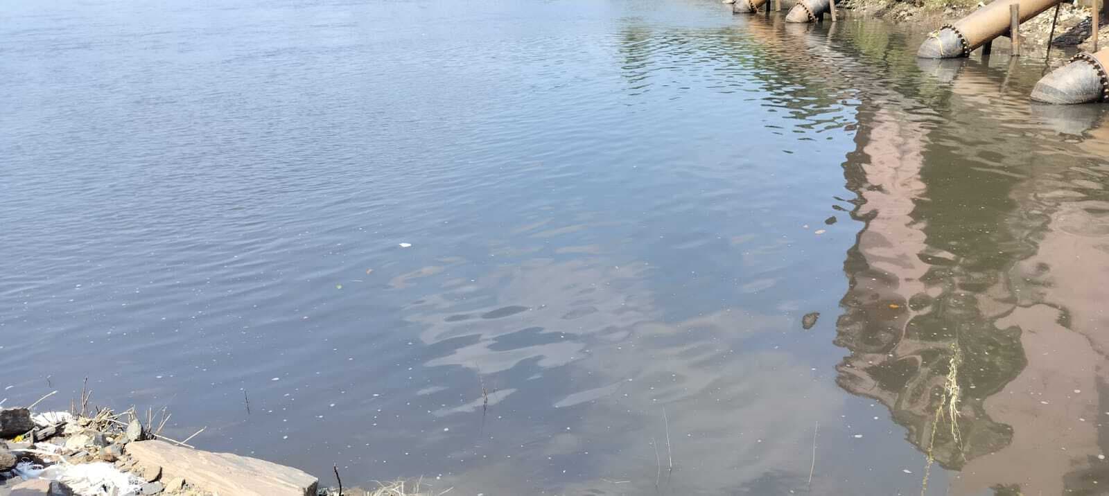 Dhanbad News : दामोदर में बह रहा वाशरी का ‘काला’ पानी