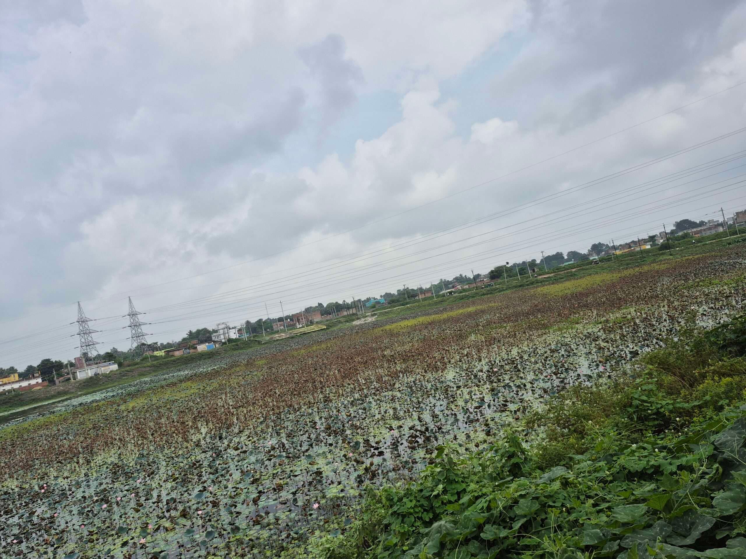 नगर निगम क्षेत्र में 67 छठ घाट हैं चिह्नित, किसी में नहीं हुआ सफाई कार्य शुरू