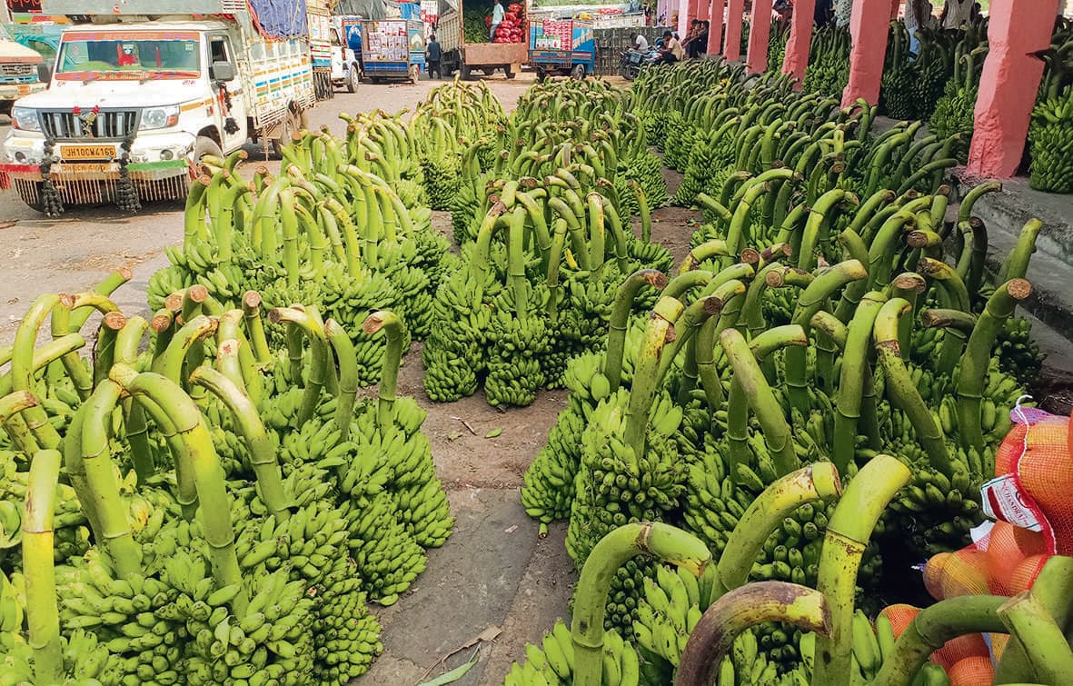 Dhanbad News : महापर्व छठ को ले कृषि बाजार फल मंडी में फलों की आवक शुरू