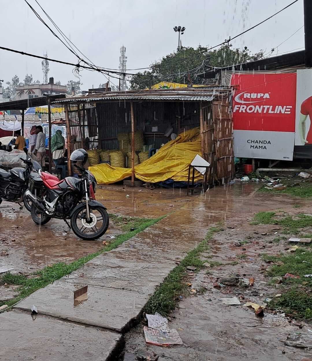 बारिश से मक्का की फसल पर संकट के बादल