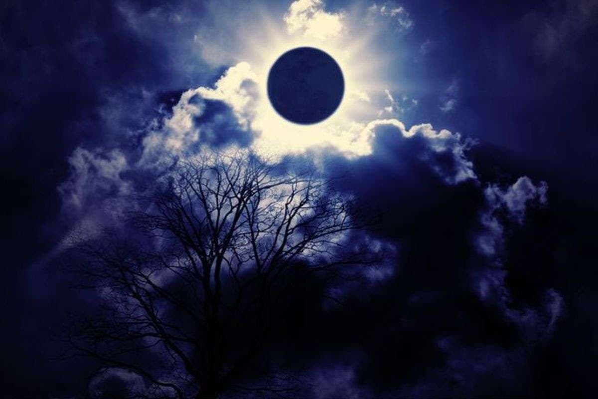 Margashirsha Amavasya 2025: मार्गशीर्ष अमावस्या पर ऐसे करें श्री विष्णु की पूजा