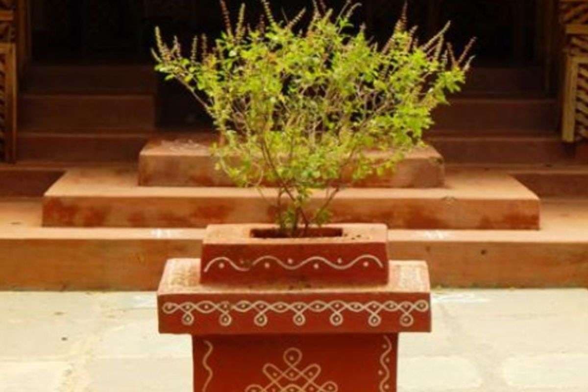 Tulsi Vivah 2025: आज या कल 2 नवंबर को है तुलसी ��िवाह, जानें किस तरीके से करें पूजा