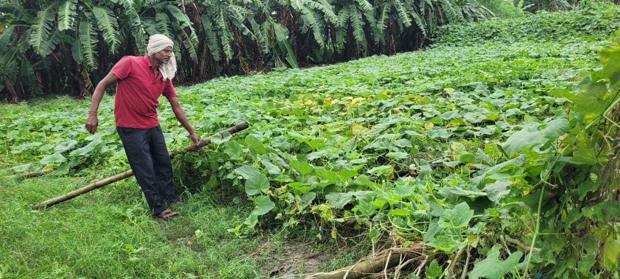 अगले चौबीस घंटे में कमजोर होगा मोंथा, रात भर हुई बारिश से खेतों में जमा पानी