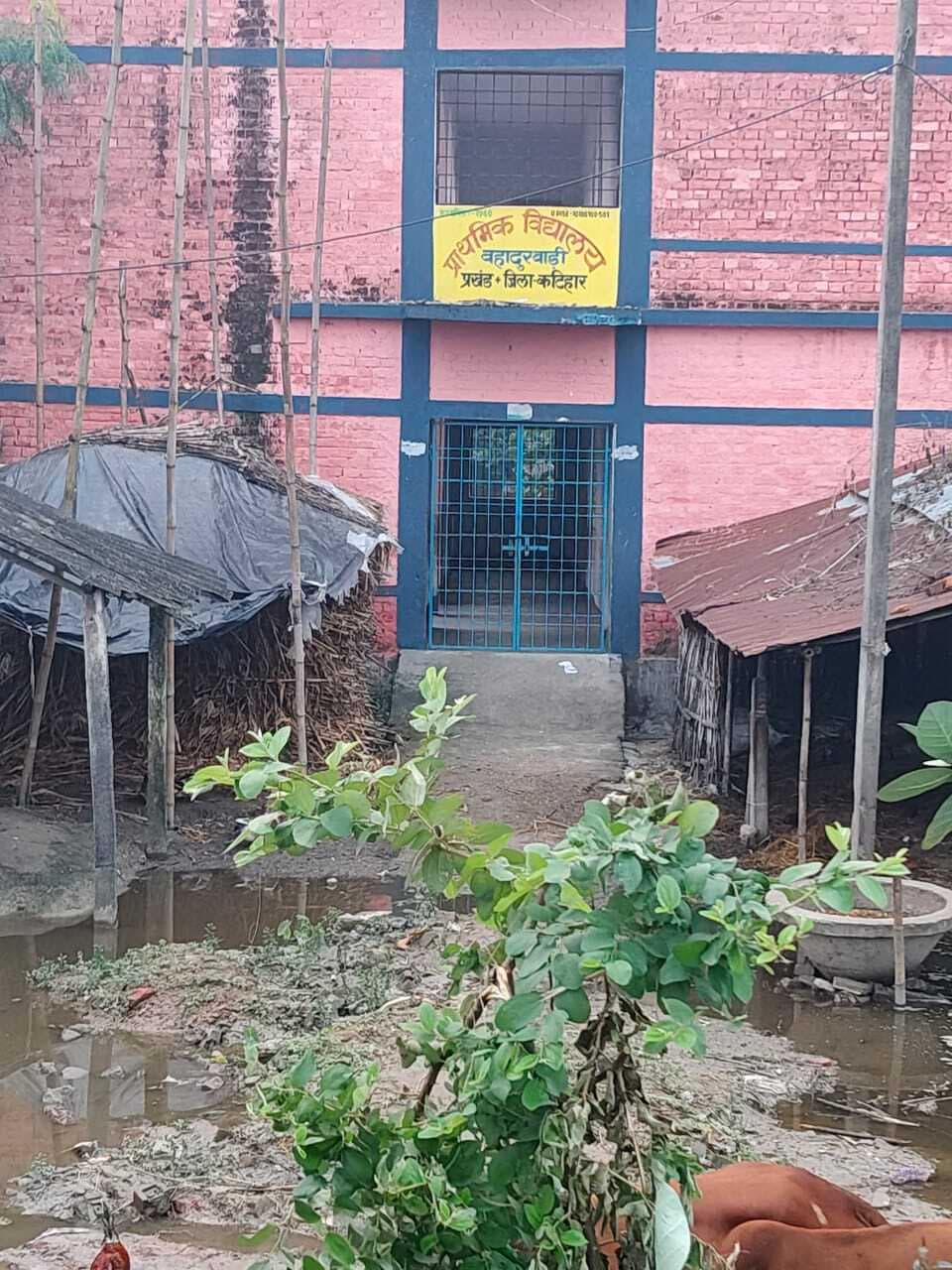 चुनावी मुद्दा: उच्च शिक्षा से वंचित हो जा रहीं है वार्ड दो शमशेरगंज की लड़कियां