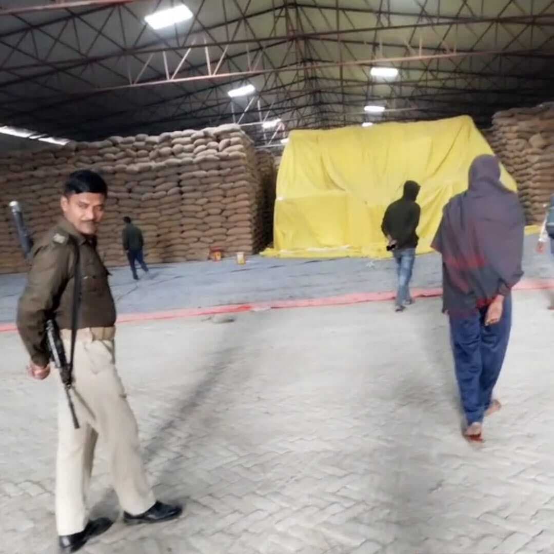 गोदाम से चोरों ने मक्का बोरी कर ली चोरी