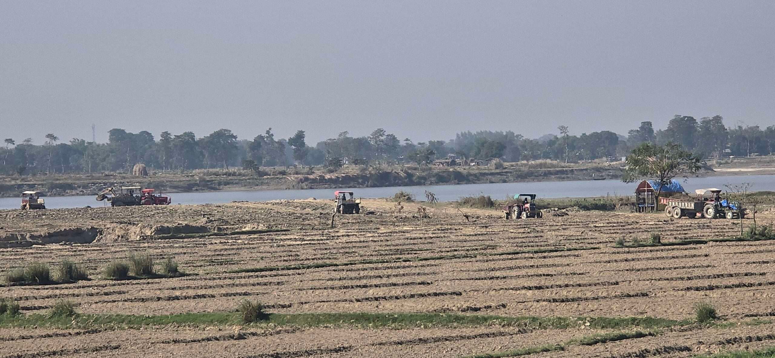 महानंदा नदी में सफेद बालू का बेरोकटोक हो रहा अवैध खनन