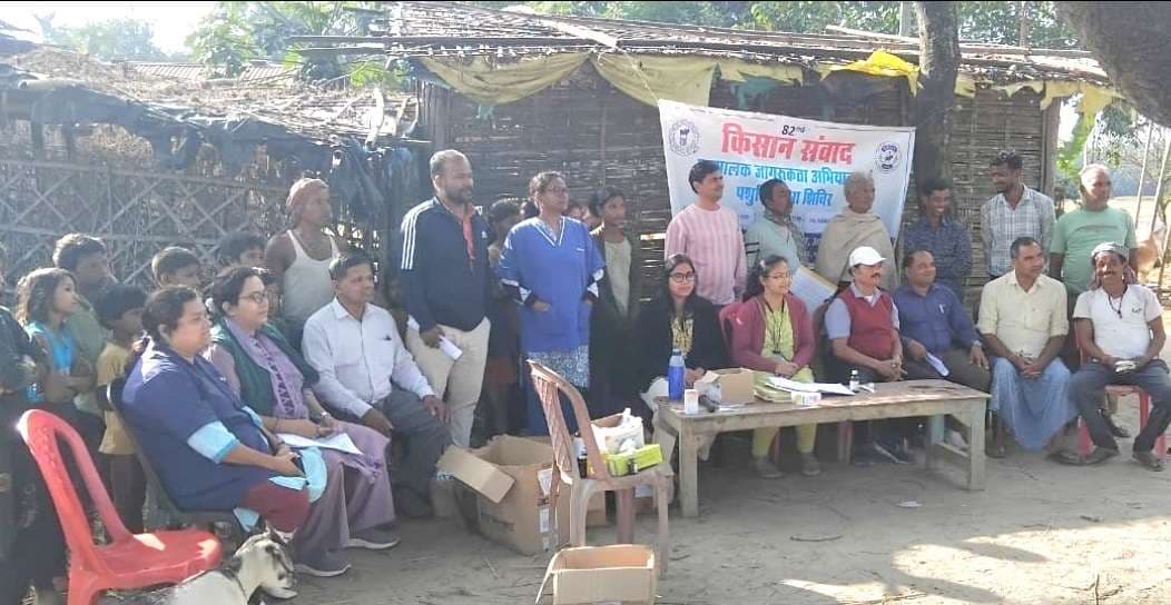 पशु चिकित्सा शिविर में 209 पशुओं का किया गया उपचार