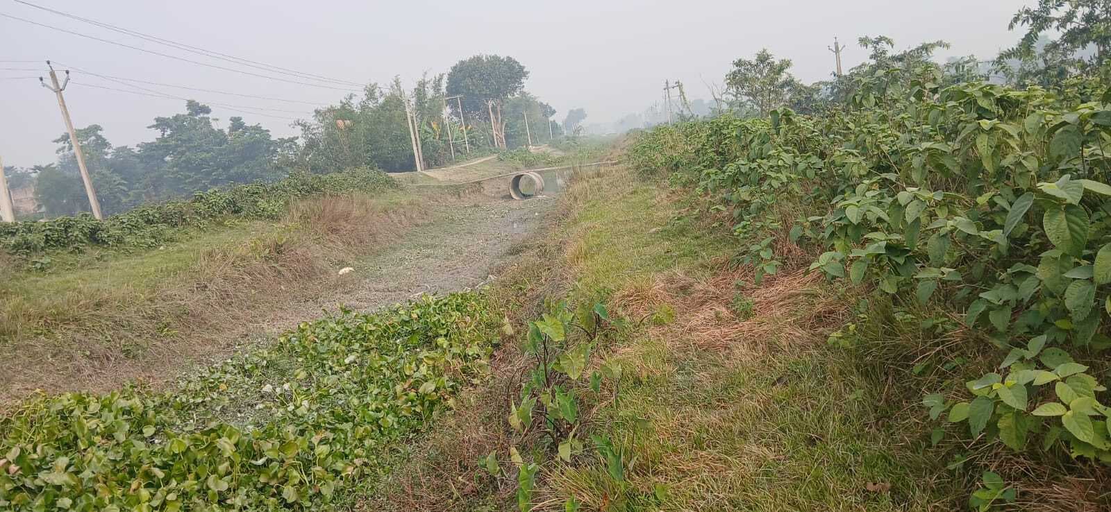 नहर की जमीन पर कब्जा कर बनाये गये खेत और कई आवास, विभाग बनी है मुकदर्शक