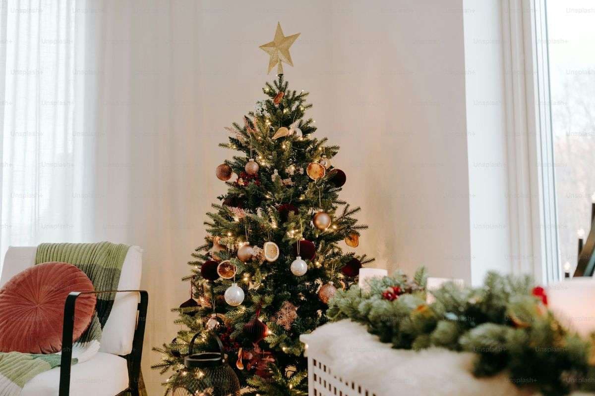 Christmas Tree Vastu Tips: घर में क्रिसमस ट्री लगाने से बदलता है भाग्य, जानें इसे रखने की सही दिशा