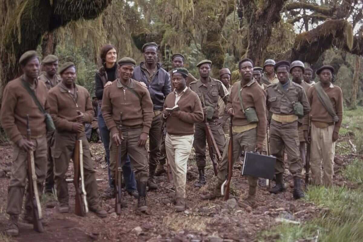 Dian Fossey In Rwanda Forest