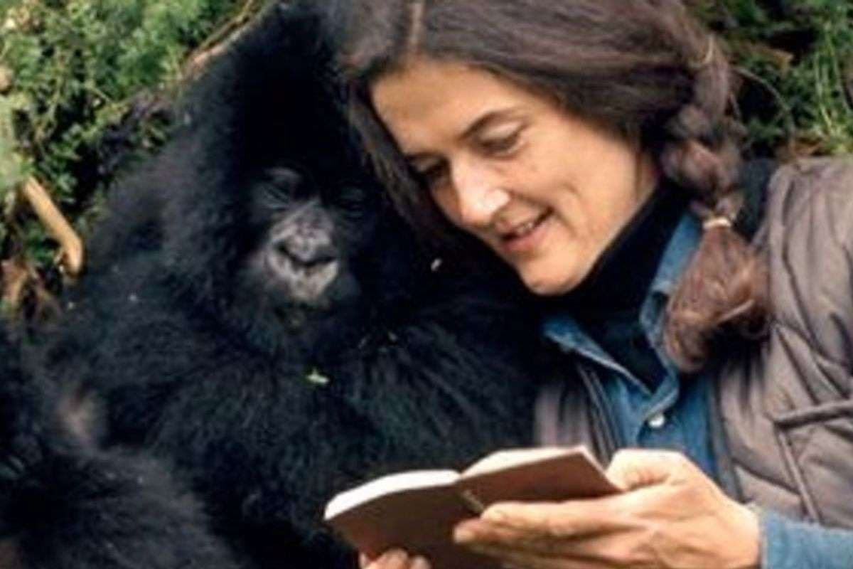 Diana Fossey
