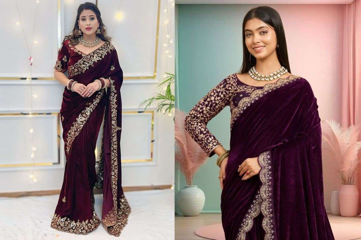 Embroidered velvet saree (Image Source: Pinterest)