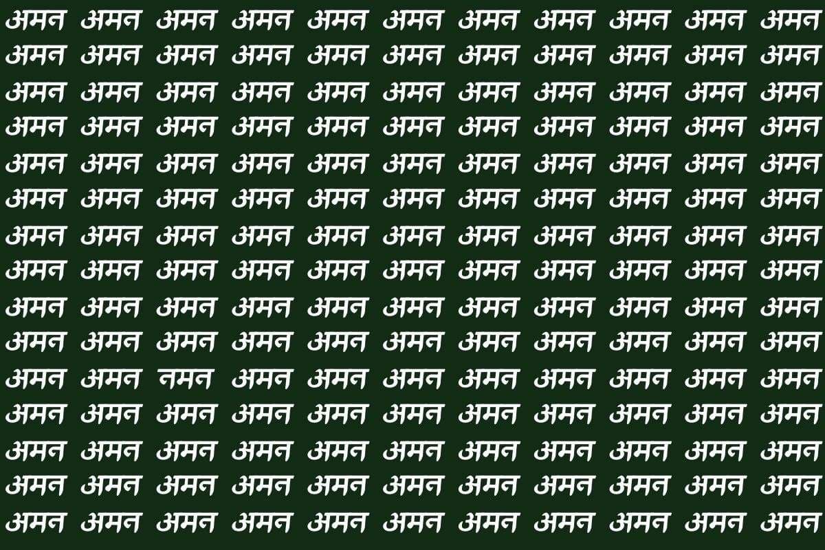 इस ऑप्टिकल इल्यूजन फोटो में नमन ढूंढिए