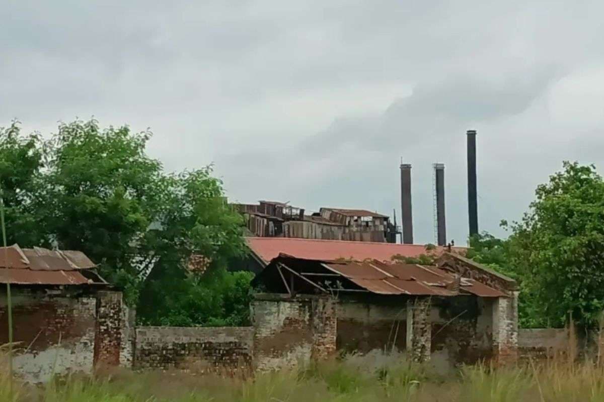 1932 से चल रही सासामुसा चीनी मिल पर संकट, किसानों ने छेड़ा आंदोलन, कर्नाटक से क्या है कनेक्शन