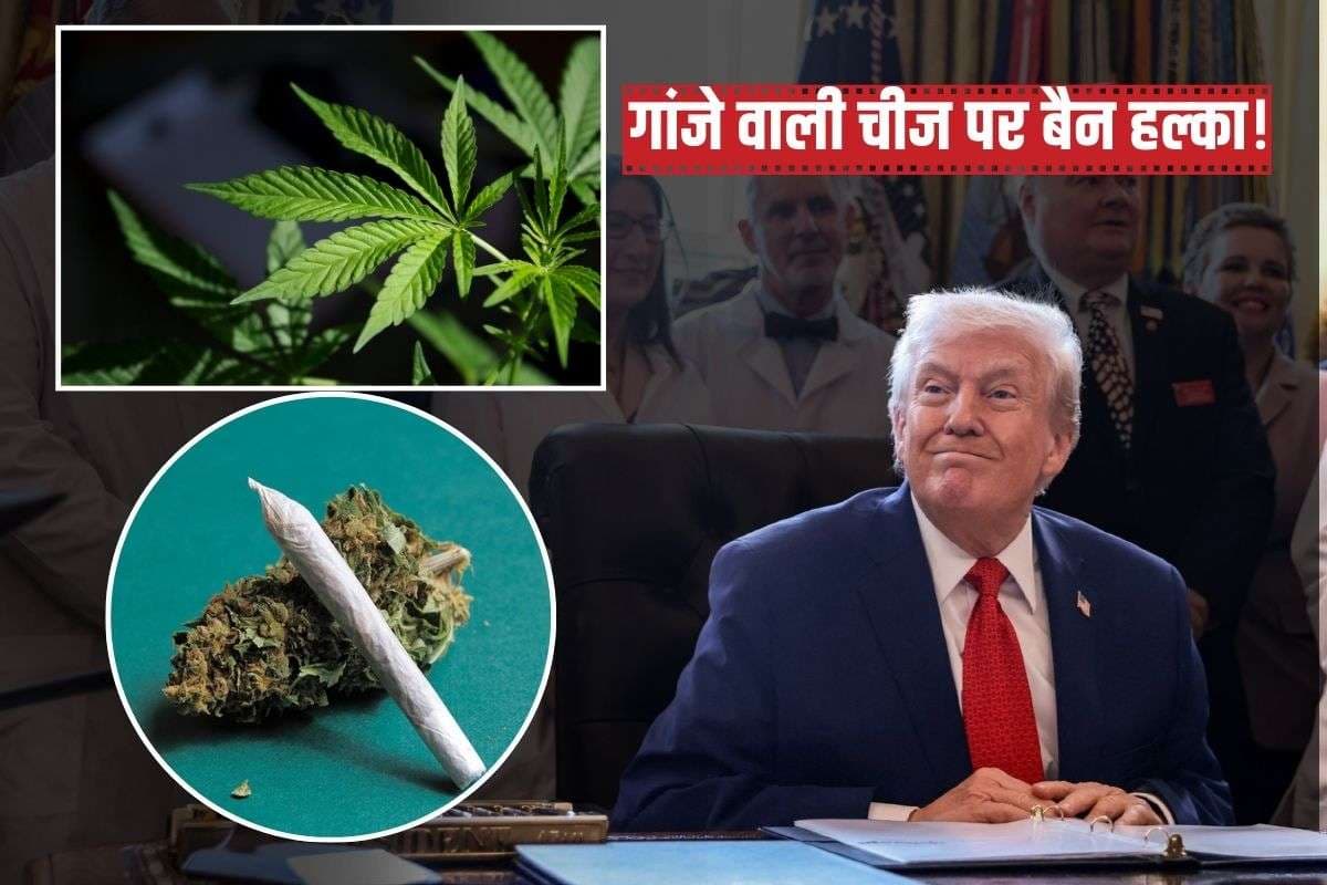 डोनाल्ड ट्रंप ने मरिजुआना को कम प्रतिबंधित सूची में डाला, क्या है इसके पीछे की वजह?
