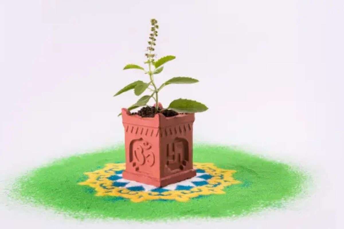 Tulsi Pujan Diwas 2025: घर में शांति चाहिए? तुलसी पूजन दिवस पर करें ये उपाय