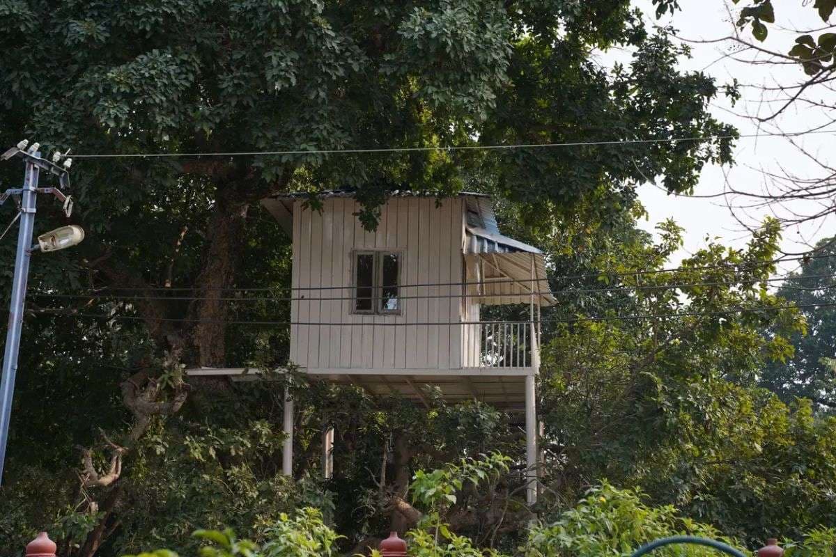 नए साल पर घूमने का है प्लान तो चले आइए वाल्मीकि टाइगर रिजर्व, जानिए क्यों खास है यह जगह