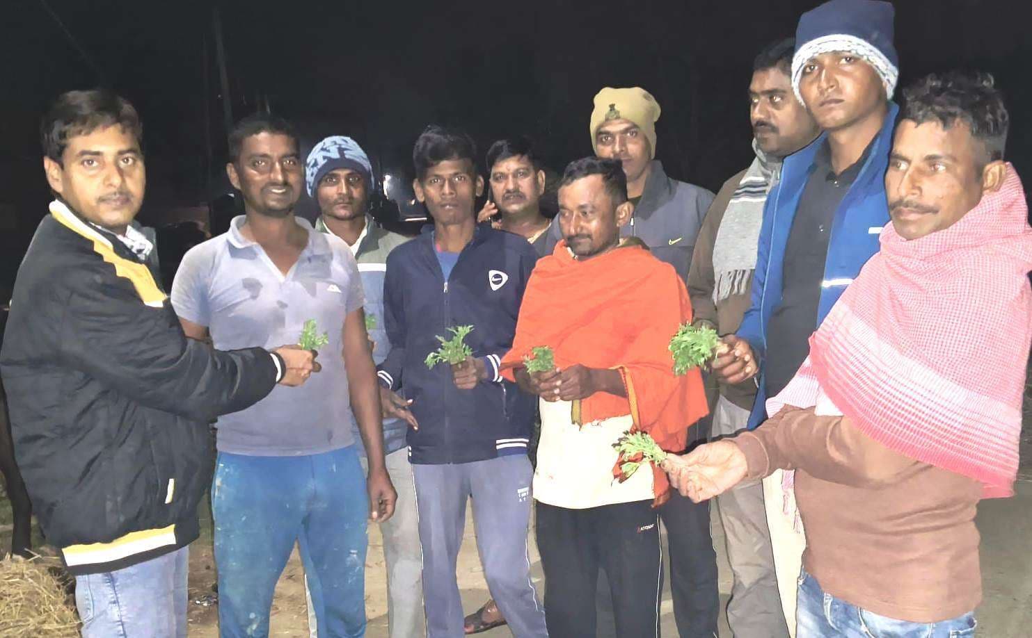 Bhagalpur news किसानों के खेतों में गेंदा उनकी उम्मीदों को खिलायेगा