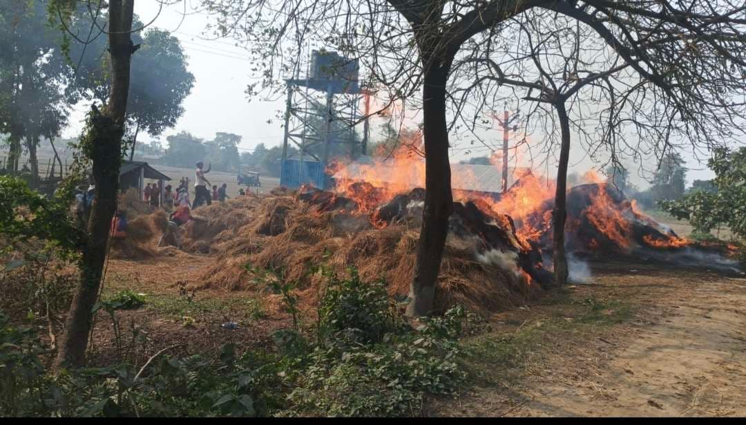 चार एकड़ धान के बोझा में शॉर्ट सर्किंट से लगी आग, लाखों का नुकसान