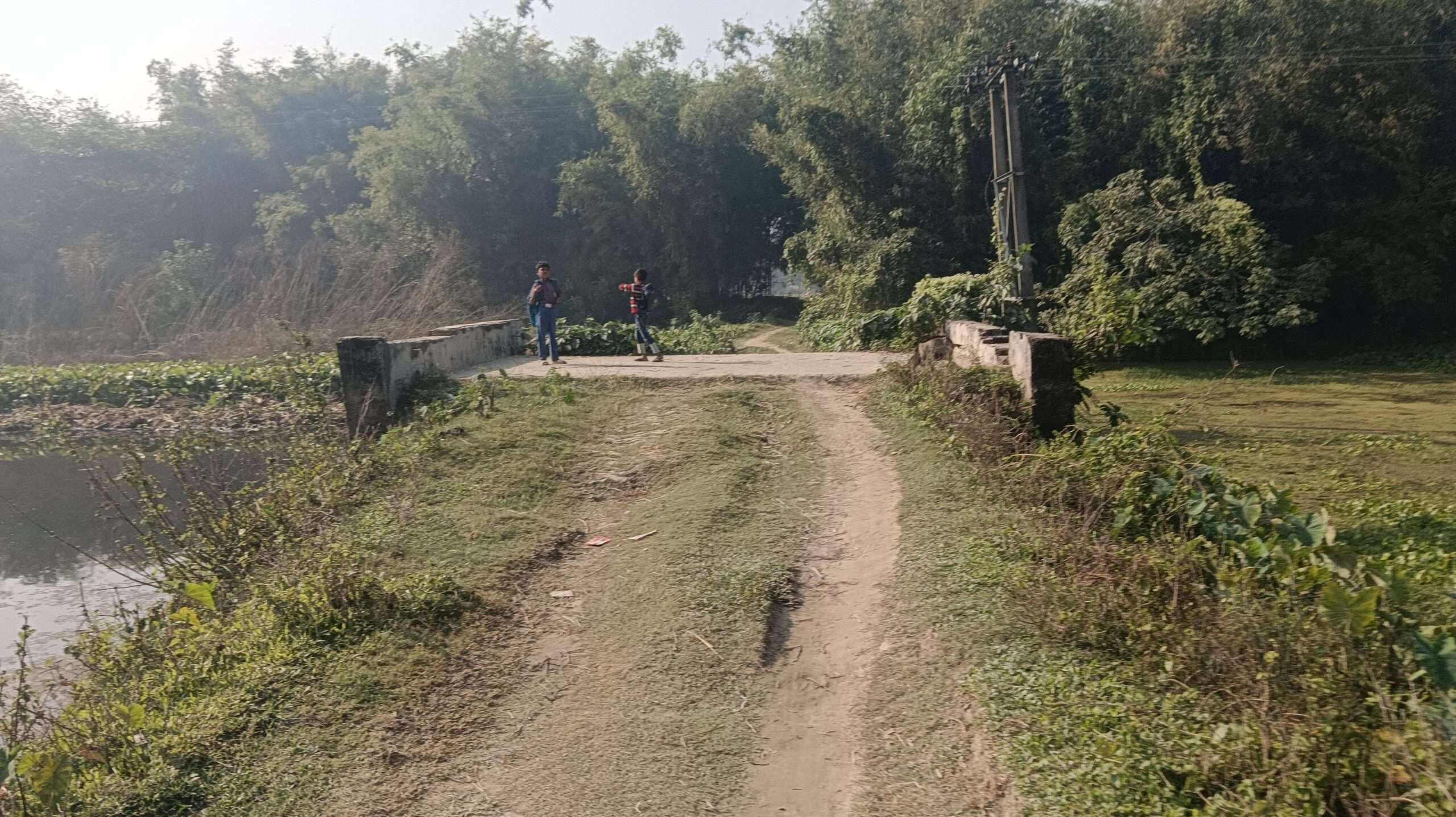 कालसर प्राथमिक विद्यालय से यादव टोला तक पथ जर्जर