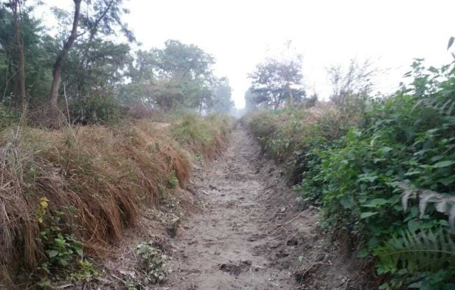 महंगे डीजल-बिजली से बढ़ी खेती की लागत, प्रशासन से पानी छोड़ने की मांग