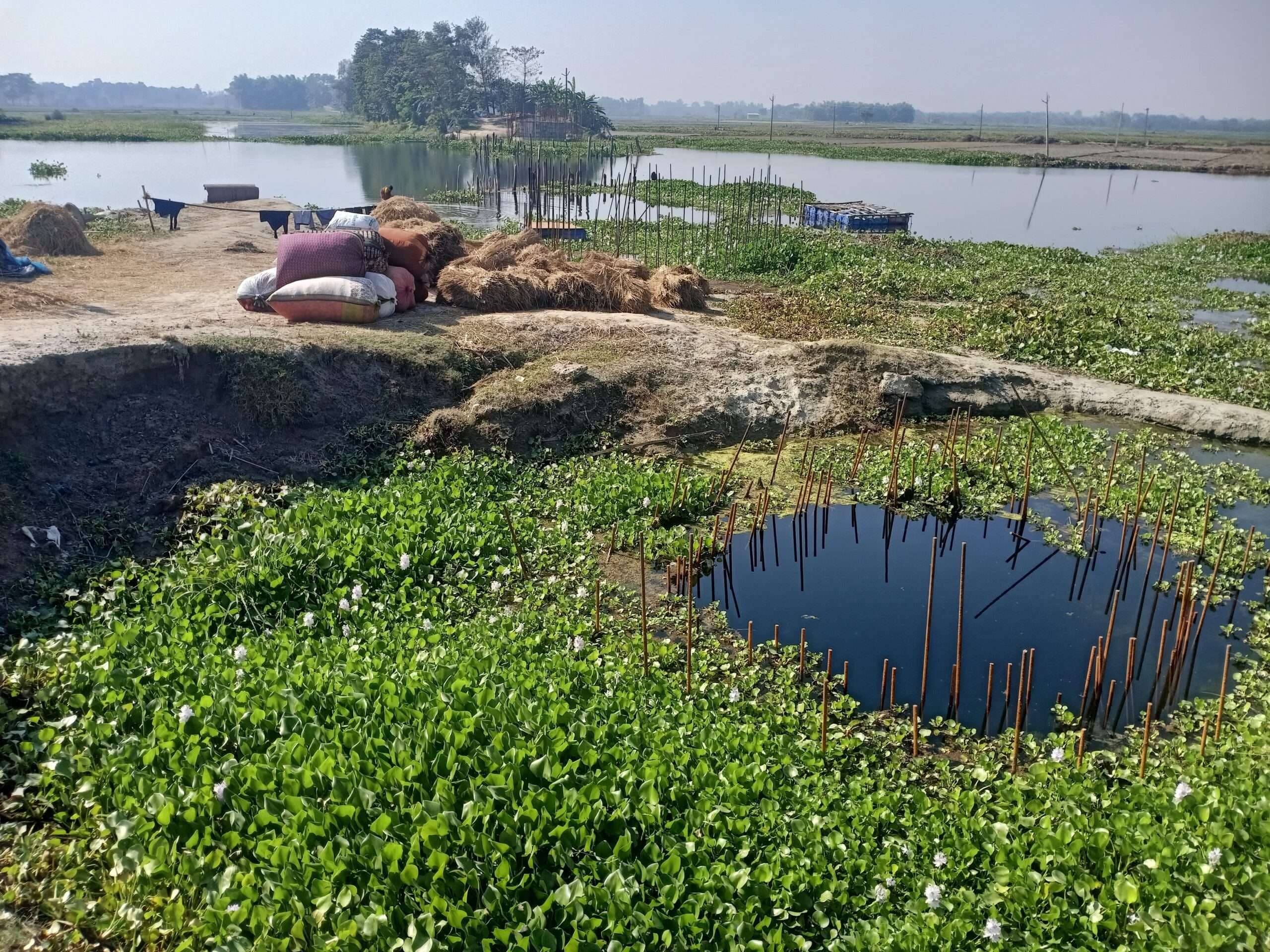 प्राणपुर-मनसाही को जोड़ने वाले पुल निर्माण की गति धीमी