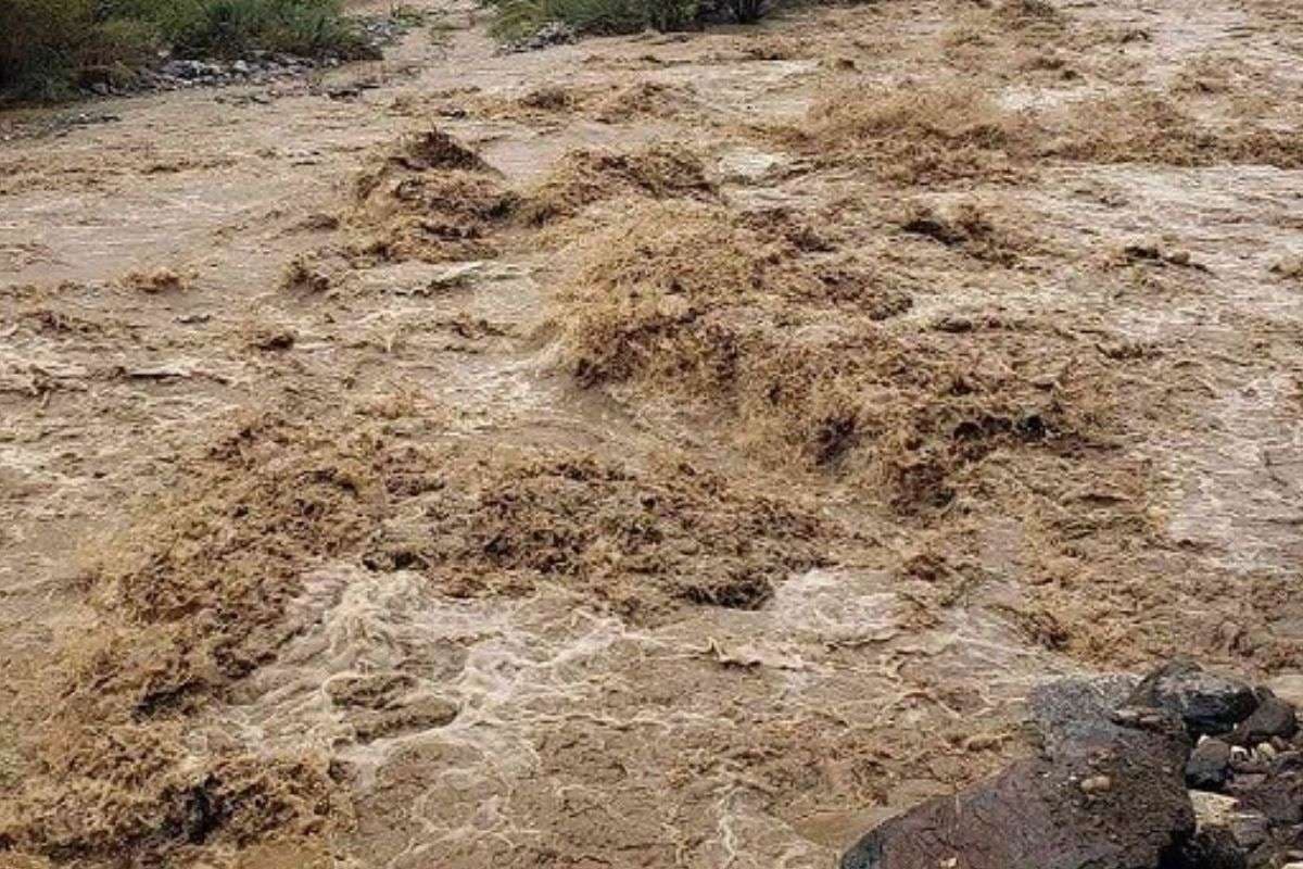 Heavy Rain Alert: भारी बारिश से तबाही, 17 लोगों की मौत, अफगानिस्तान में बाढ़ का कहर