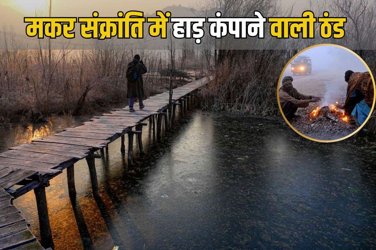 Fog And Cold Alert: मकर संक्रांति में हाड़ कंपाने वाली ठंड, 12, 13, 14 जनवरी को शीतलहर, इन इलाकों में कोल्ड डे अलर्ट