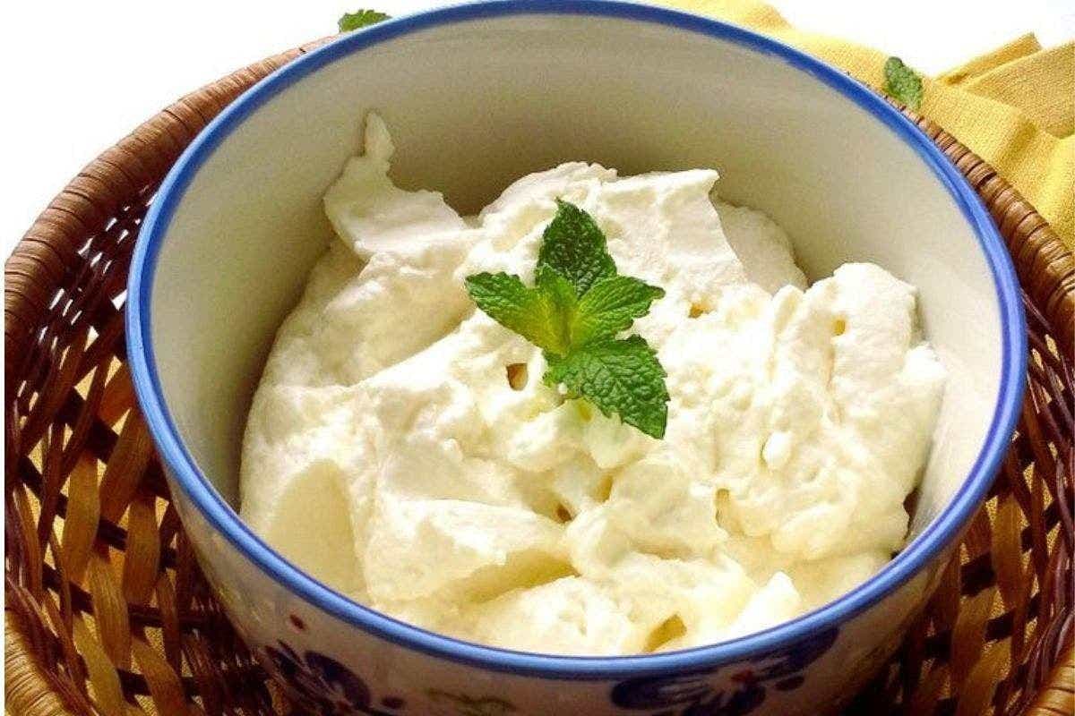 Hung Curd Recipe: घर पर आसानी से बनाएं गाढ़ा और क्रीमी हंग कर्ड, जानें सही तरीका
