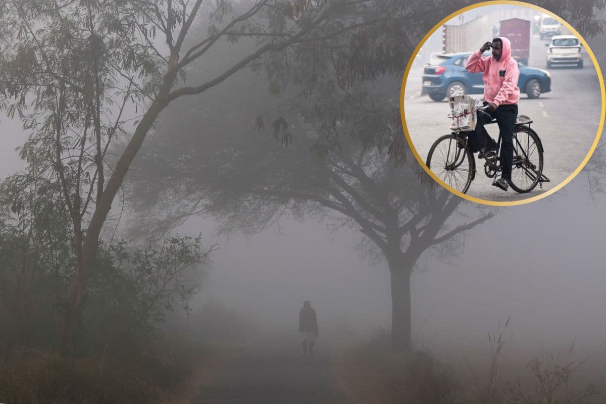 Rajasthan Weather: सर्दी के बीच शुरू होगा बारिश का दौर, कोहरा का भी रहेगा प्रकोप, मौसम ले रहा करवट