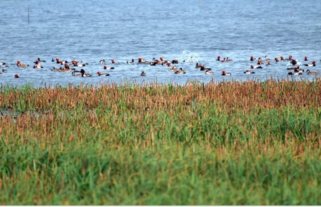 उम्मीद 2026: पर्यटन स्थल के रूप में विकसित होगा गोगाबिल झील व गोरखनाथ मंदिर