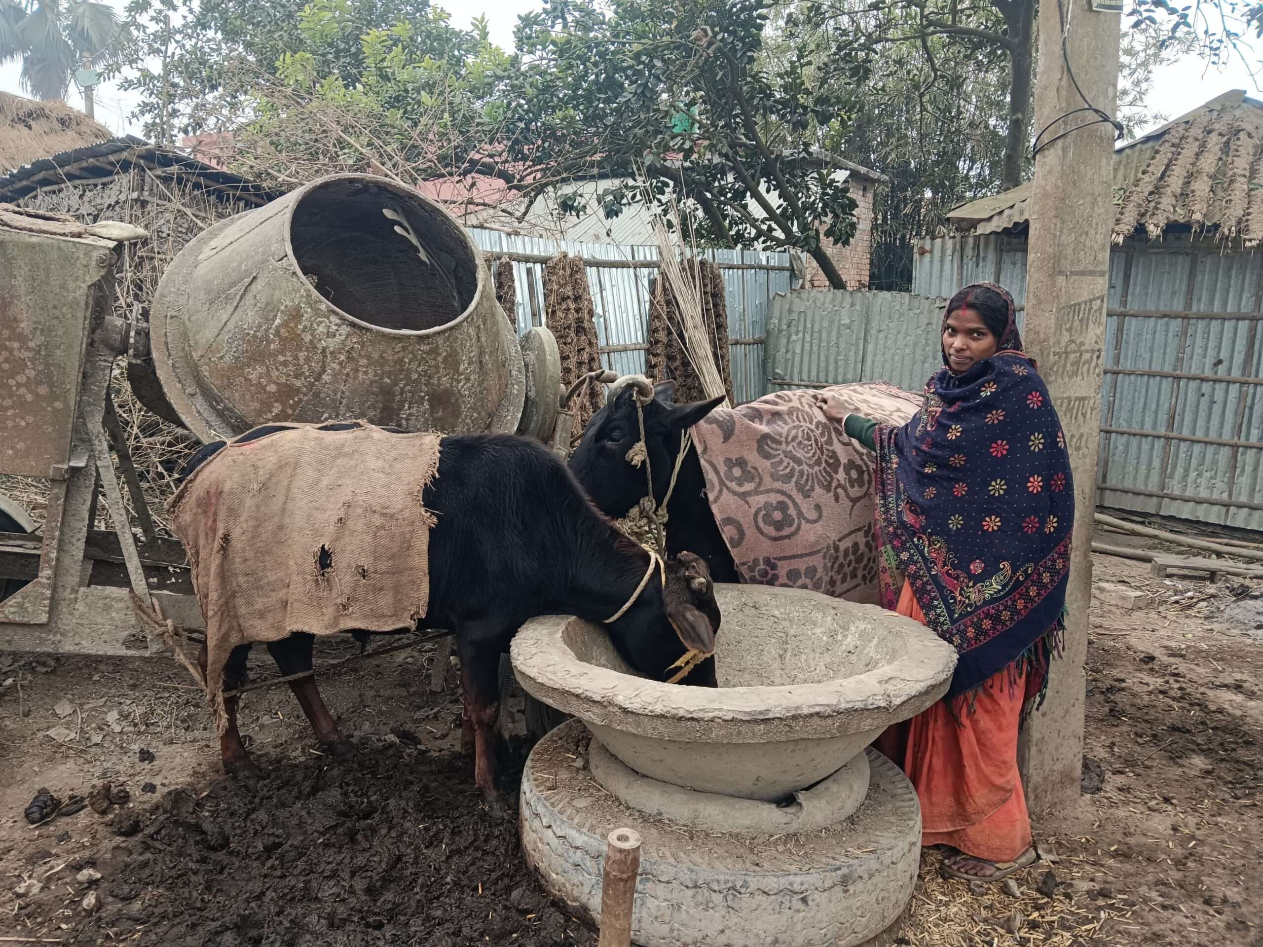 बर्फीली हवा के साथ तेज ठंड ने लोगों का जीना मुहाल किया