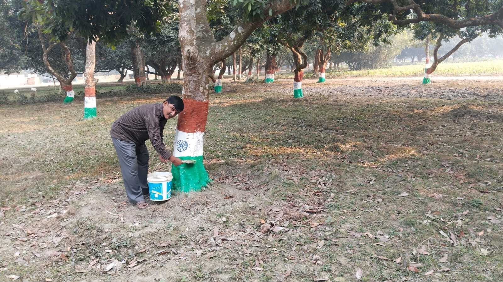 देशभक्ति, बागान में मैंगो मैन ने आम के पौधे को तिरंगा से रंगा