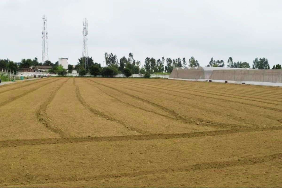 Bihar Bhumi: बिहार में जमीन मुआवजा से जुड़ी समस्याएं झटपट होगी खत्म, सप्ताह में दो दिन कर सकेंगे ये काम