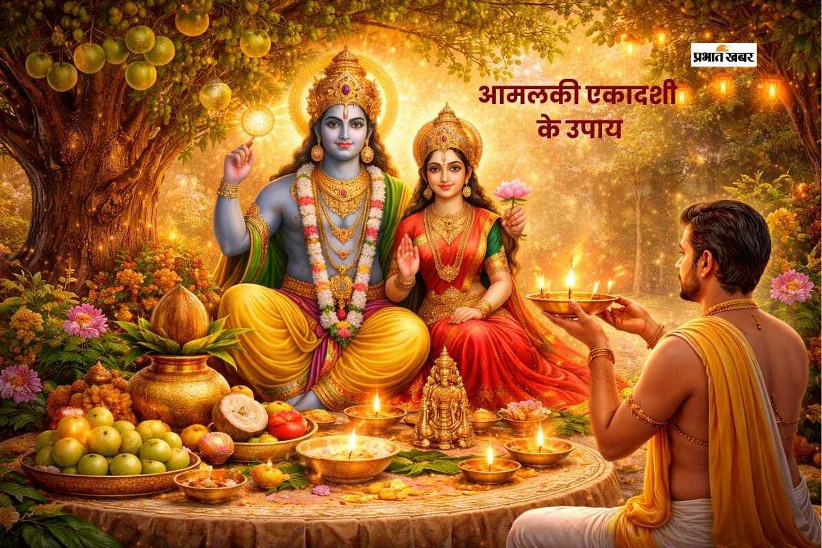 आमलकी एकादशी पर करें ये आसान उपाय, बढ़ सकती है सुख-समृद्धि