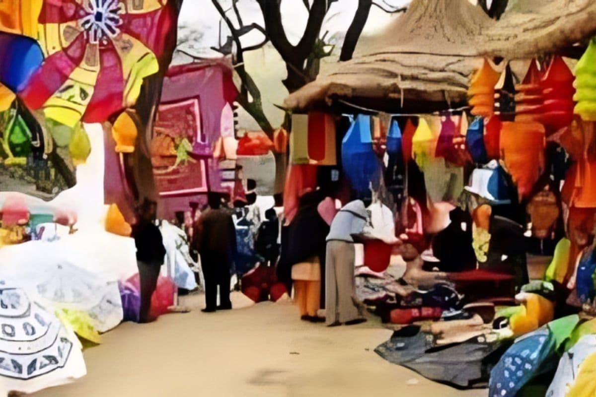 बिहार की कला का दुनिया में बजेगा डंका, रांटी और रैयाम समेत इन 4 गांव बनेंगे कला-संस्कृति के हब