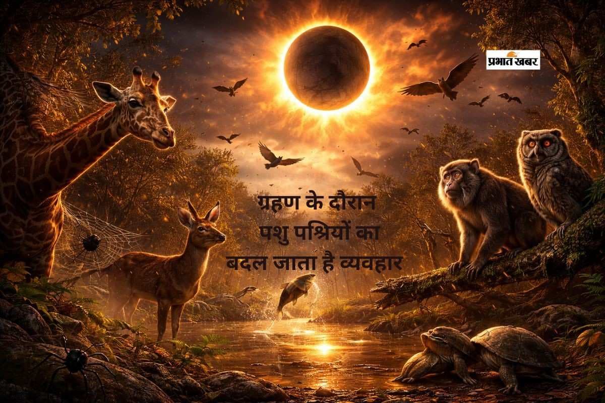 ग्रहण के दौरान प्रकृति में क्या बदलता है? जानें जानवरों और पक्षियों का अजीब व्यवहार