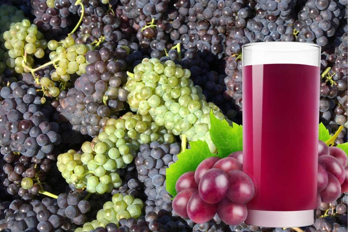 घर पर मिनटों में बनाएं अंगूर का जूस, सबका बन जाएगा पसंदीदा