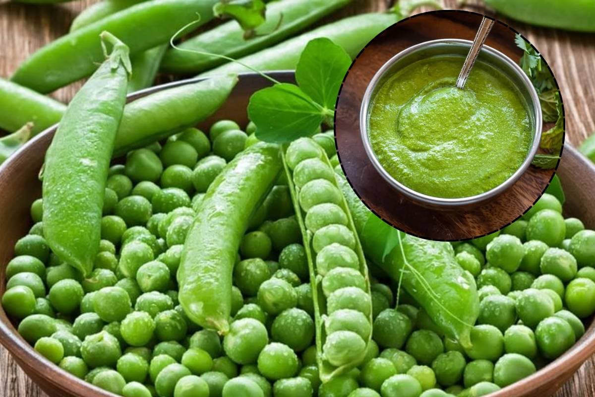 खाने का स्वाद दोगुना कर देगी हरे मटर की चटनी एक बार जरूर ट्राइ करें ये स्पेशल रेसिपी