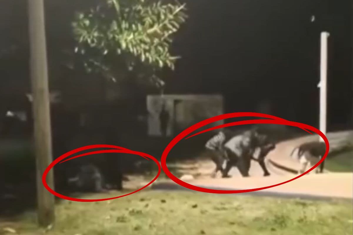 व्हाट्सएप पर बनी 2 भारतीयों पर हमले की योजना, इजरायल बोला यह बर्दाश्त नहीं… आरोपी गिरफ्तार