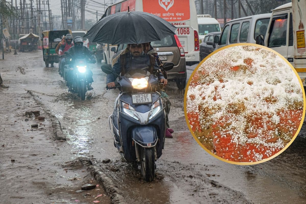 MP-राजस्थान में आंधी-बारिश और ओलावृष्टि का अलर्ट, पश्चिमी विक्षोभ और हवाओं के टकराव से बिगड़ा मौसम