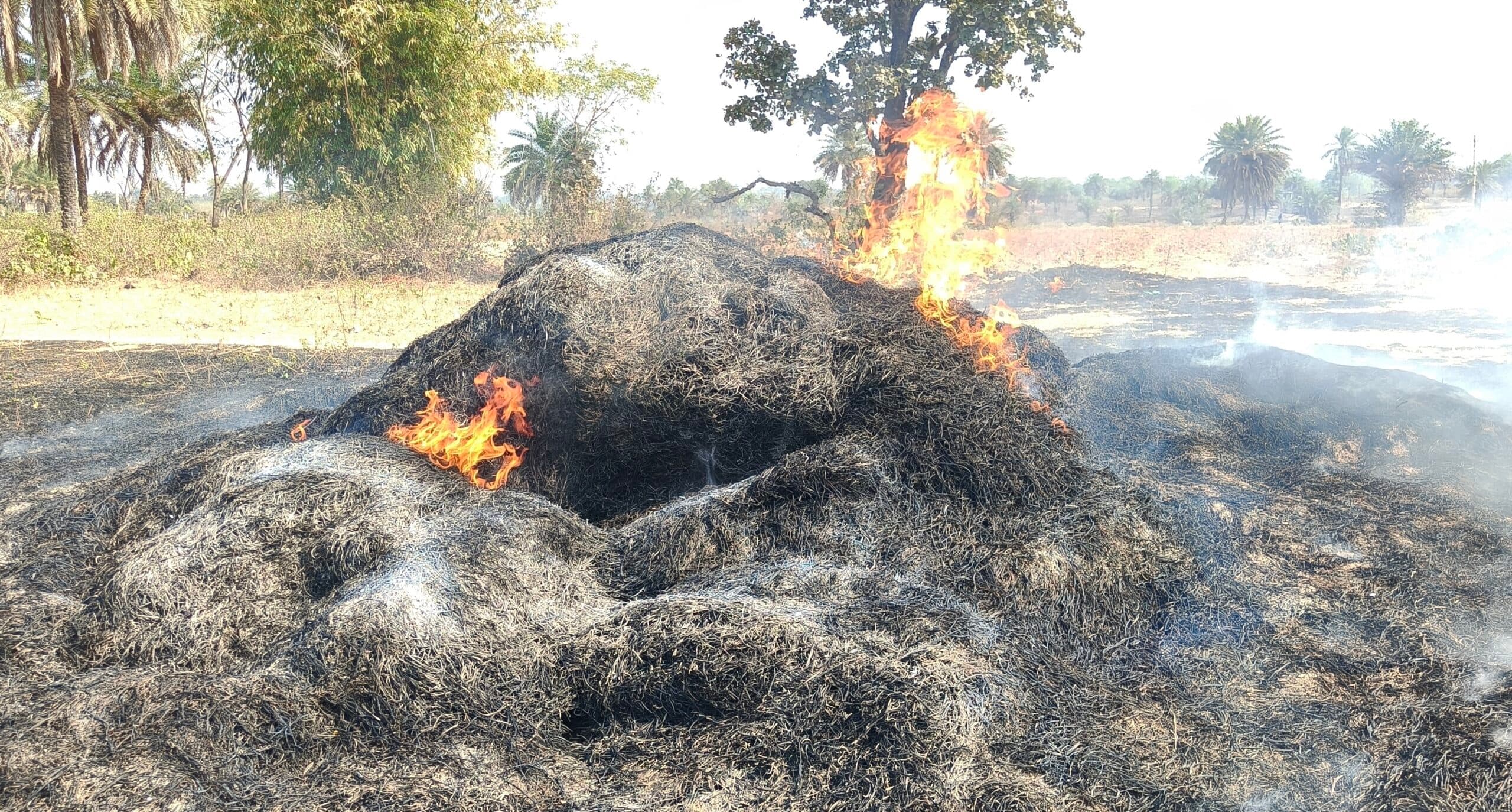 Bokaro News: खलिहान में लगी आग, हजारों का नुकसान