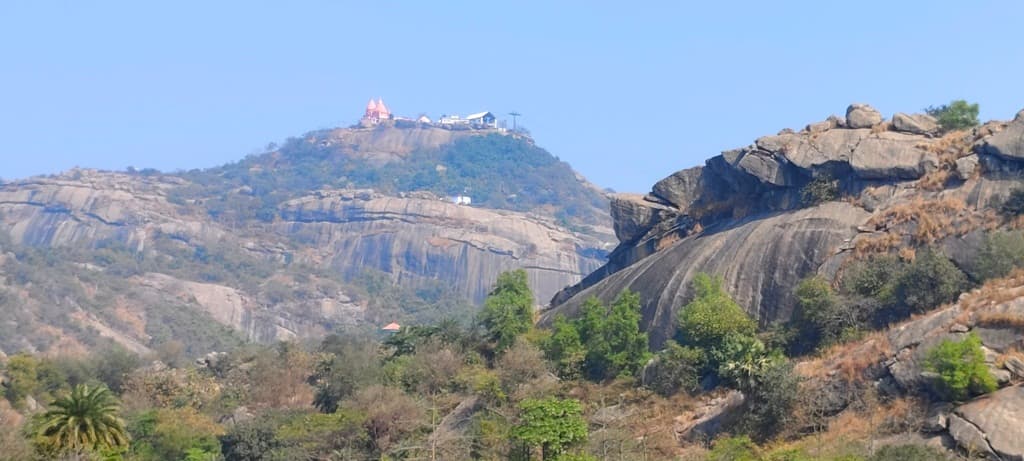 मंदार तराई में ‘मोर अभ्यारण्य’ का सपना अधूरा, मोरों की मौत के बाद ठंडे बस्ते में गयी योजना